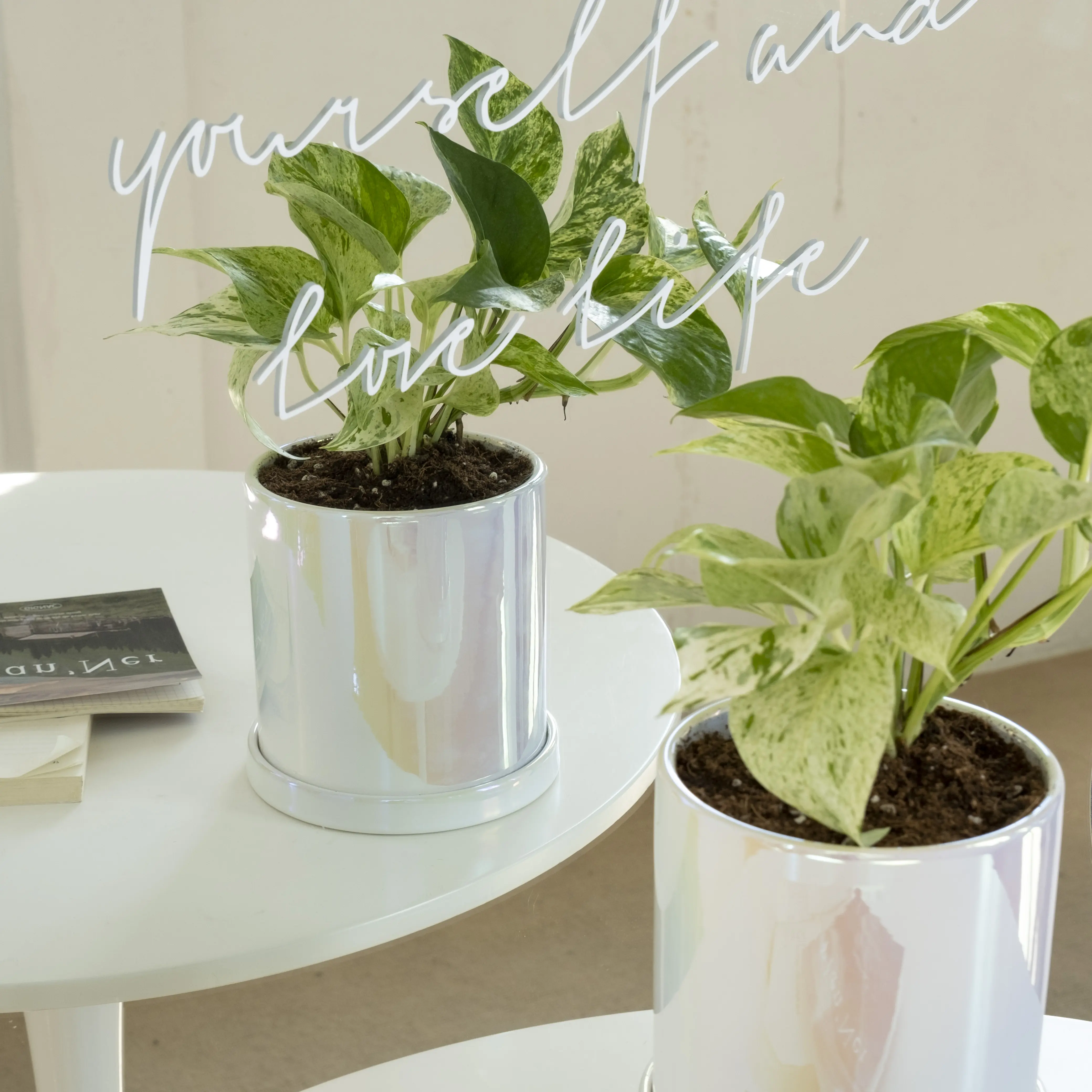 Rumah & taman meja kantor kecil Maceta mutiara putih Pot bunga mengkilap penanam dengan nampan