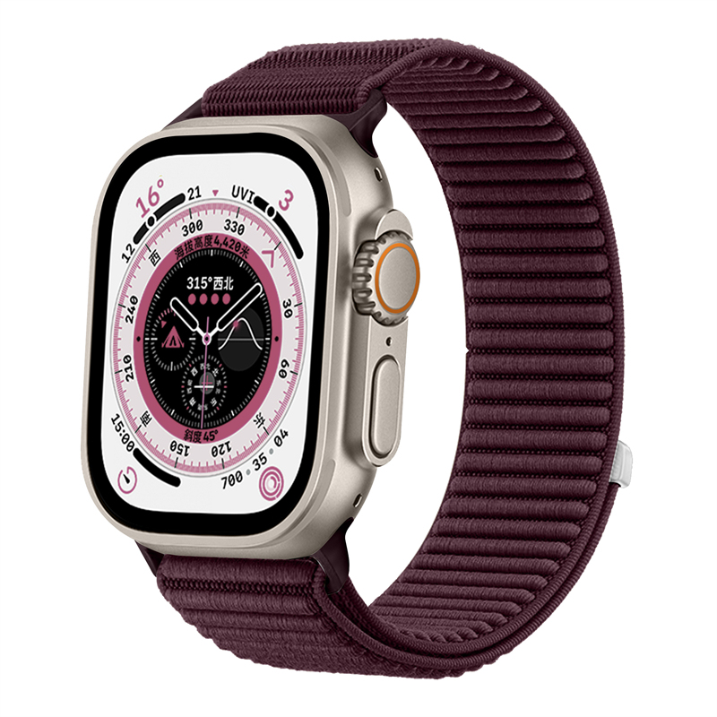 Bande violette 6 prunes