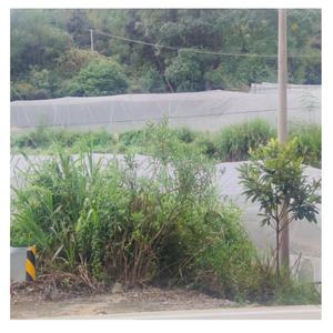 High Quality Anti-Insect <strong>Nets</strong> Best Price Greenhouse Mosquito <strong>Net</strong> with Pest Protection Custom Cutting Processing Service - Product Image 6