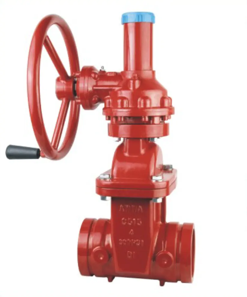 Get FM certified approve Grooved Rising Stem Resilient Seated Gate Valve Red DN50-DN300