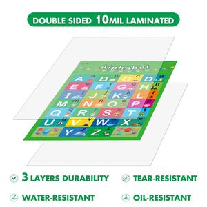 Alfabe numarası grafik Poster su geçirmez eğitim PreK öğrenme çocuklar için ekonomik renkli özel duvar asılı Poster - Product Image 4