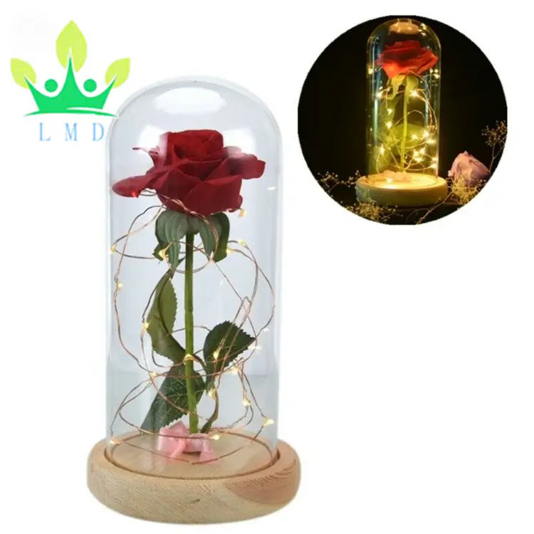 Beauty and the Beast Enchanted Led In Glass Dome LED Lamp Christmas Gift