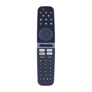 Hostrong Factory OEM ODM 44 tasti telecomando per Grundi-g Arcelik Beko Smart LED TV LCD IPTV supporto personalizzazione - Product Image 1