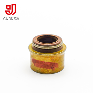 Gnok Tùy Chỉnh Flo Cao Su Van Stem Con Dấu Dầu 6d40 Động Cơ Xe Máy Van Con Dấu Nhà Máy Trực Tiếp 6d40 Động Cơ Xe Máy Con Dấu - Product Image 2