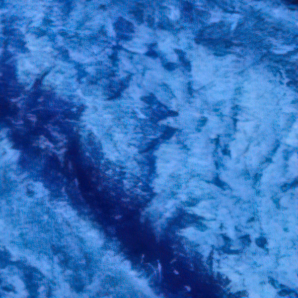 Azul real