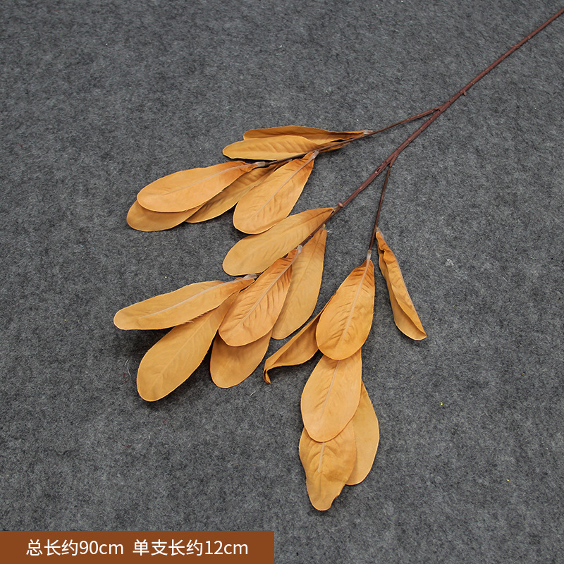 Feuilles d'Impatiens