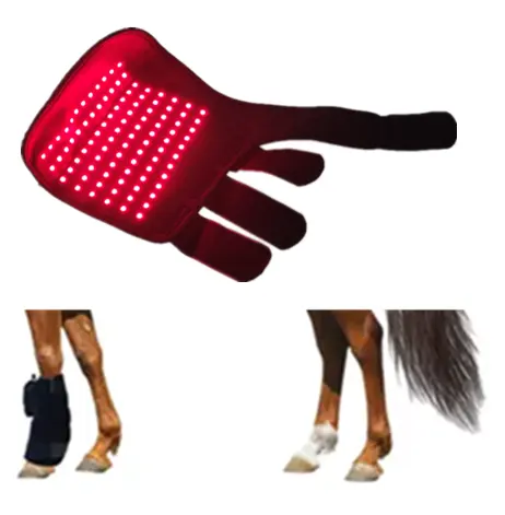 حذاء الحصان المرن المزود بإضاءة LED طول 660 نانومتر 850 نانومتر جهاز العلاج بالضوء الأحمر لون أسود لمساعدة ساق الحصان الفردي على التخلص من الألم وعلاج العضلات