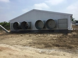 משק בית חווה עיצוב מודרני פלדה מבנה בית עוף עם ציוד עשוי פנל סנדוויץ'