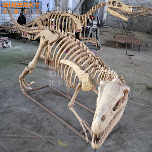 用于展示科学展览的树脂猛禽骨骼化石恐龙模型 - Product Image 5