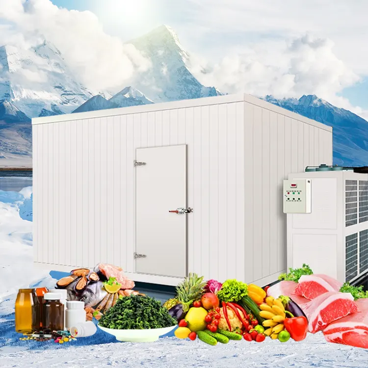 Supermercado Congelador Habitación Contenedor Cámara frigorífica con Unidad de Refrigeración