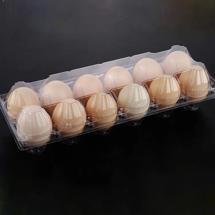 Plateau d'emballage d'œuf en plastique pvc pet, pièces, 12 trous, carton, cuisine transparent, livraison directe