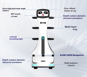 Robot de evitación de obstáculos automático directo de fábrica, Robot de servicio de restaurante de entrega de alimentos, Robot de camarero - Product Image 3