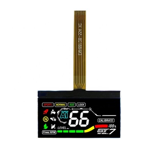 Display LCD a segmenti COG VA personalizzato Display LCD a segmenti stampati a colori LCD bianco su nero - Product Image 1