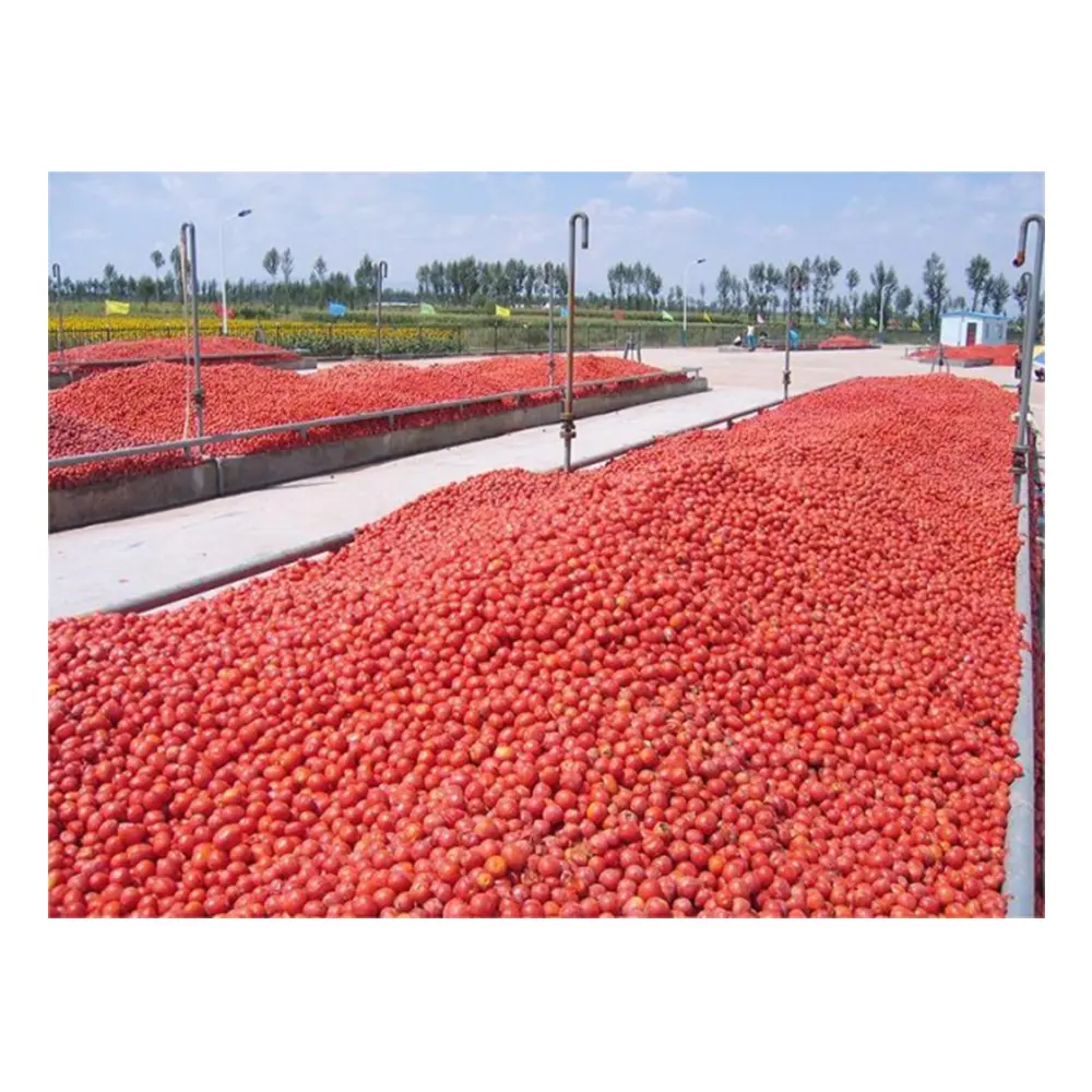 Linea di miscelazione della pasta dell'impianto di lavorazione della purea di pomodoro