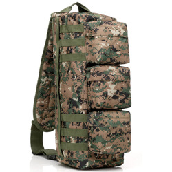 CAMO1
