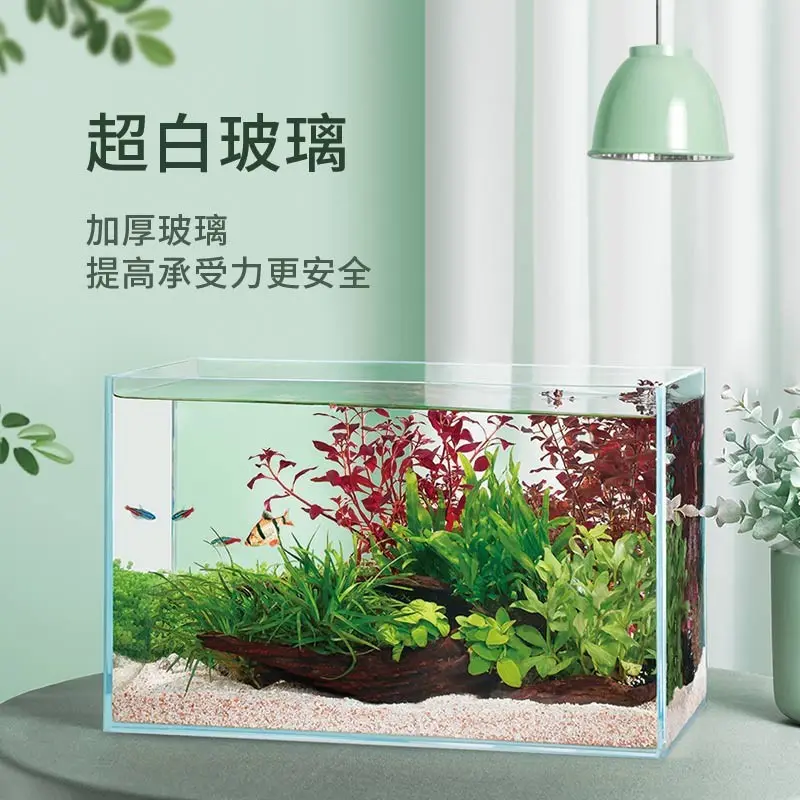 Aquarium écologique plateau de table plantes aquatiques aménagement paysager maison poissons ornementaux verre ultra-blanc petit salon réservoir en verre