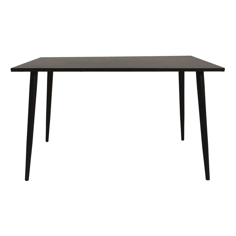 Muebles de interior modernos, mesa decorativa rectangular de acero al carbono, 160x80, para sala de estar