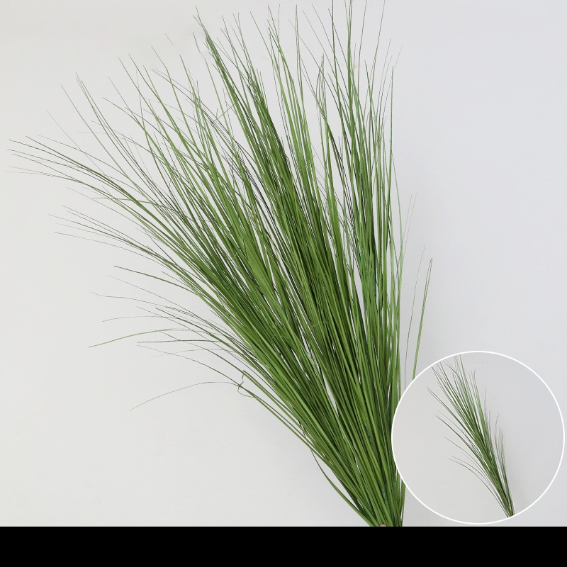 Herbe de roseau, vert foncé