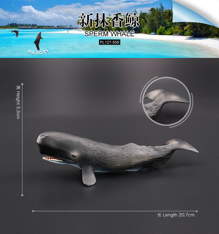 559 Baleine à sperme