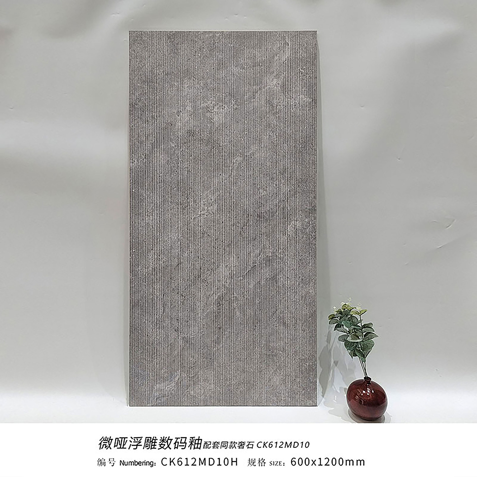 Pologne spécial gris foncé ck612md10h - 600x1200mm