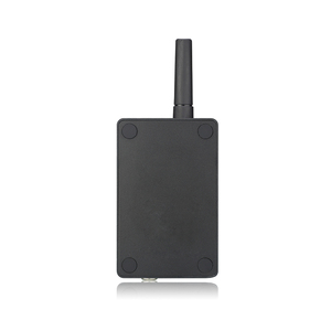 Sensor de temperatura inteligente 4G/WiFi registrador de datos temperatura Humedad registrador Protocolo MQTT temperatura Colector de datos