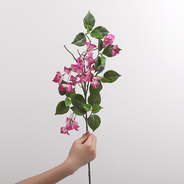 Single fork triangle plum red 80cm