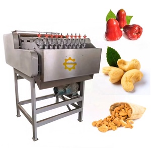 Full Automatic Cashew Nut Grading <strong>Sorting</strong> Boiling <strong>Shell</strong> Breaking Peeling Shelling Processing <strong>Machine</strong> - Product Image 6
