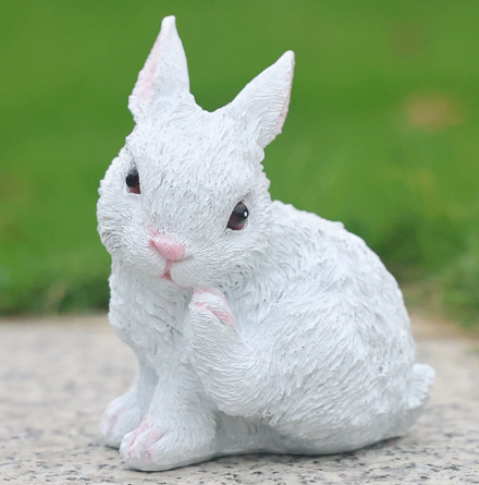 6001-face-scratching rabbit