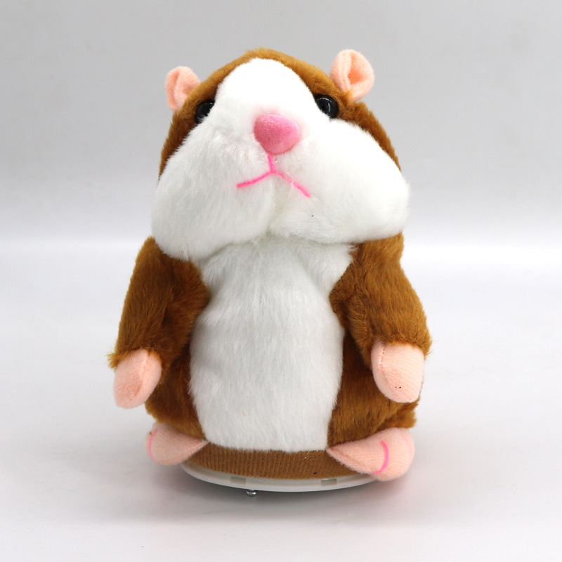 Brown hamster