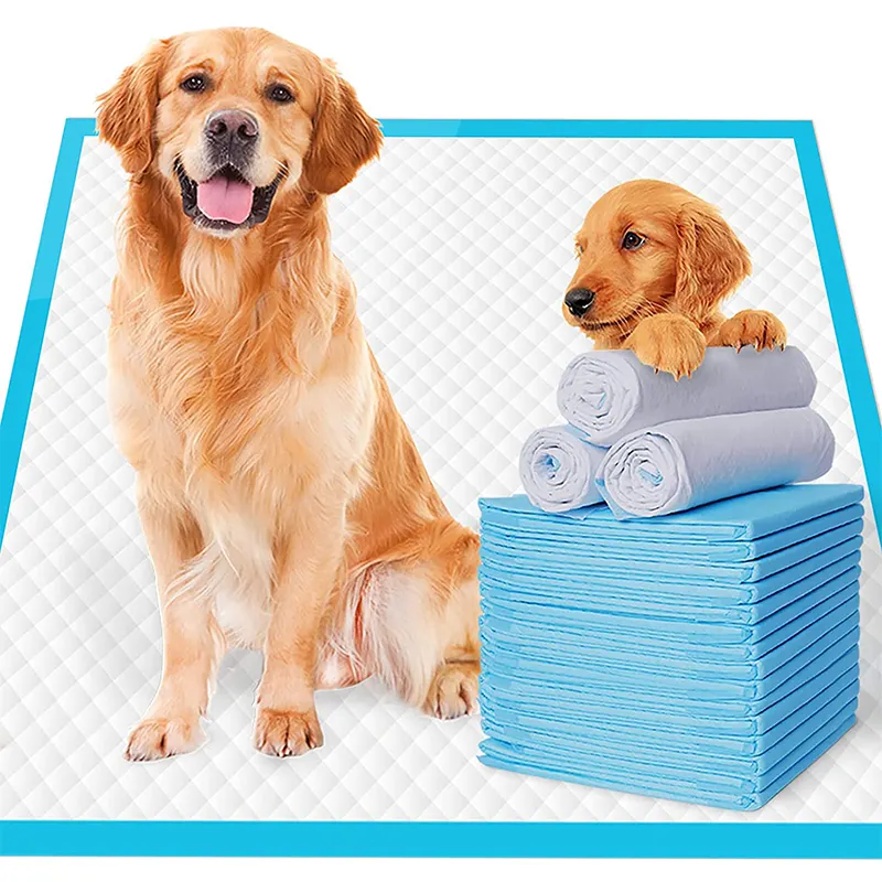 Cuscinetti da allenamento usa e getta per cani e cuccioli cuscinetti da addestramento per cuccioli cucciolo Pet Trainig Dog Pee Pad per cane