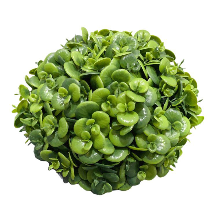 สีเขียว