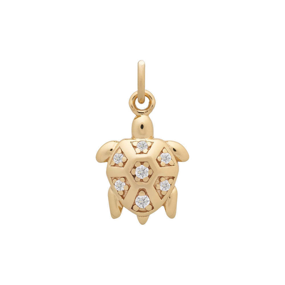 Tortuga oro 7mm