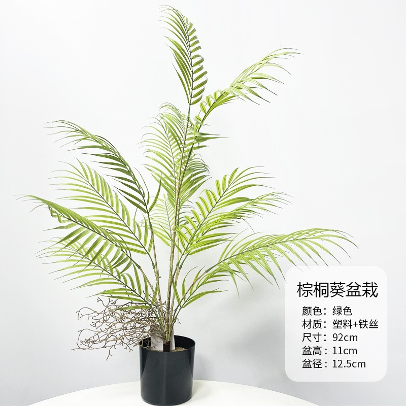 Palmera en maceta de 0,92 metros