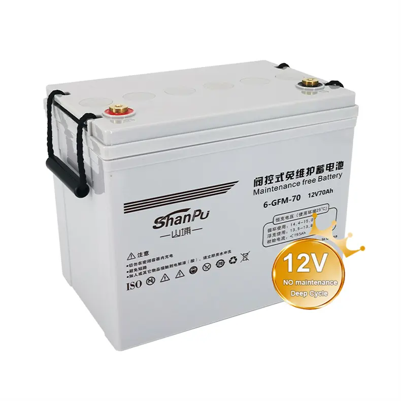 Shanpu Cell Pack 12V 100ah batteria solare auto scarica al piombo acido per la luce solare