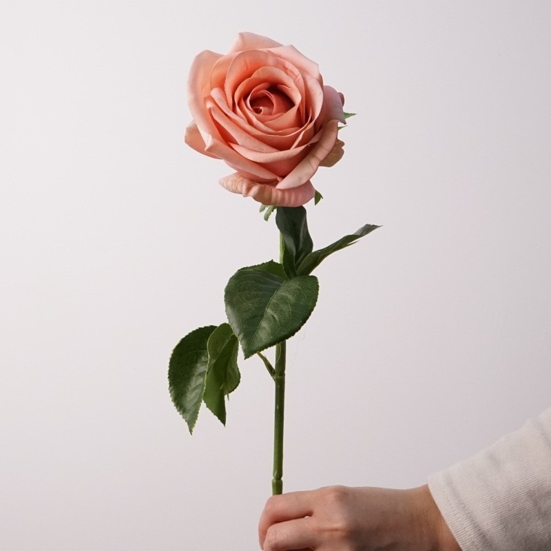 Marrón Rosado