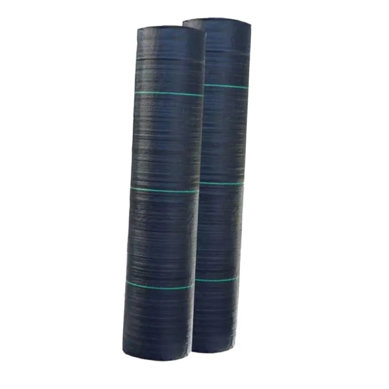 Best selling Agricultural Weed Barrier Plastic Weed Mat Ground Cover Black Landscape Fabric