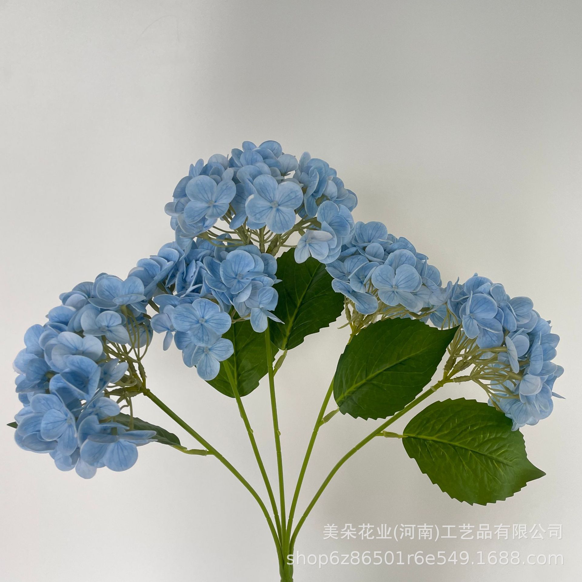 Ciel bleu