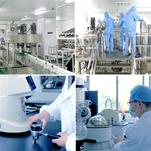 Exclusive <strong>Patent</strong> Extract raw material for cosmetics Camellia Japonica Seed <strong>Oil</strong> for Skincare Deep Hydration Antioxidant Herbal - Product Image 6