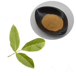 Toptan Juglans Regia yaprağı ekstresi/ceviz yaprağı ekstresi tozu - Product Image 2