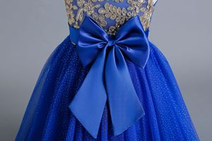 Grosir gaun pernikahan renda berkilau untuk anak perempuan gaun dansa payet tanpa lengan gaun anak perempuan bunga gaun pesta perjamuan putri - Product Image 6