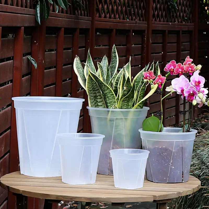 Orquídea transparente, recipiente de vaso de flores para orquídea, vaso de flores, plantador de plástico para jardim, flores internas