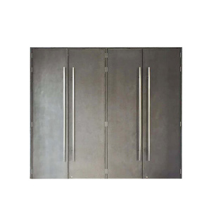 Son Modern yangına dayanıklı Pivot giriş klasik ön Metal Model endüstriyel güvenlik için katı ahşap paslanmaz çelik - Product Image 6