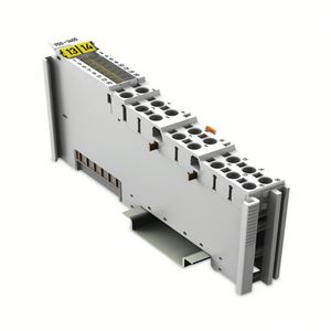 750-556/006-000 Stecker Analoga us gangs modul 2AO-10VDC I/O. - Product Image 1