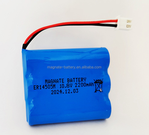 ER14505M 3.6V 2200mah birincil lityum AA pil uzaktan kumanda ve tüketici elektroniği için teller ve konektör ile - Product Image 4