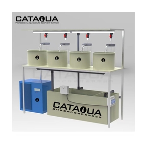 Sistema Aquicultura Recirculante Sistema Incubadora Peixe-Gato Tilápia