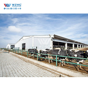 Tự động đúc sẵn kết cấu thép lợn nhà trang trại lợn farrowing crate piggery đổ thiết kế cho 100 lợn - Product Image 3