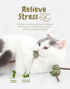 Fresh Cat Catnip Toys Forma Linda Mascota Mint Lollipop Catnip Ball Cat Toy - Product Image 4