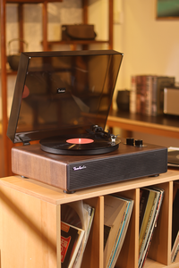 High-End Retro HiFi Stereo <strong>Audio</strong> Turntable Player with 12V <strong>Input</strong> <strong>USB</strong> <strong>Output</strong> and Recording Feature