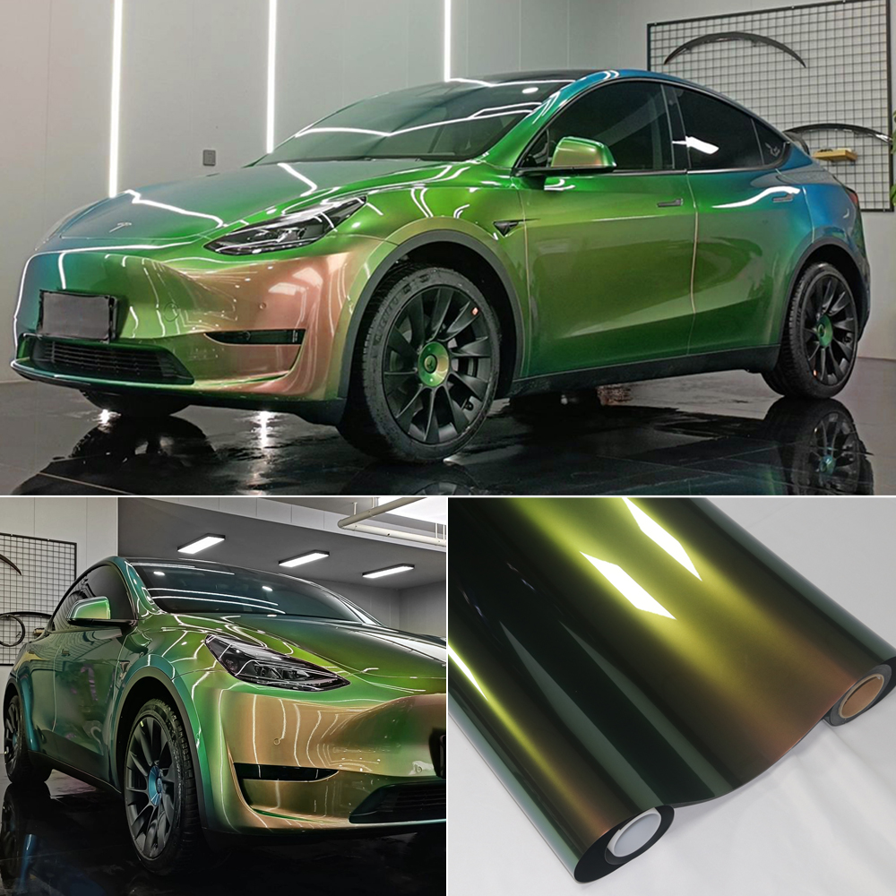 Caméléon vert marron