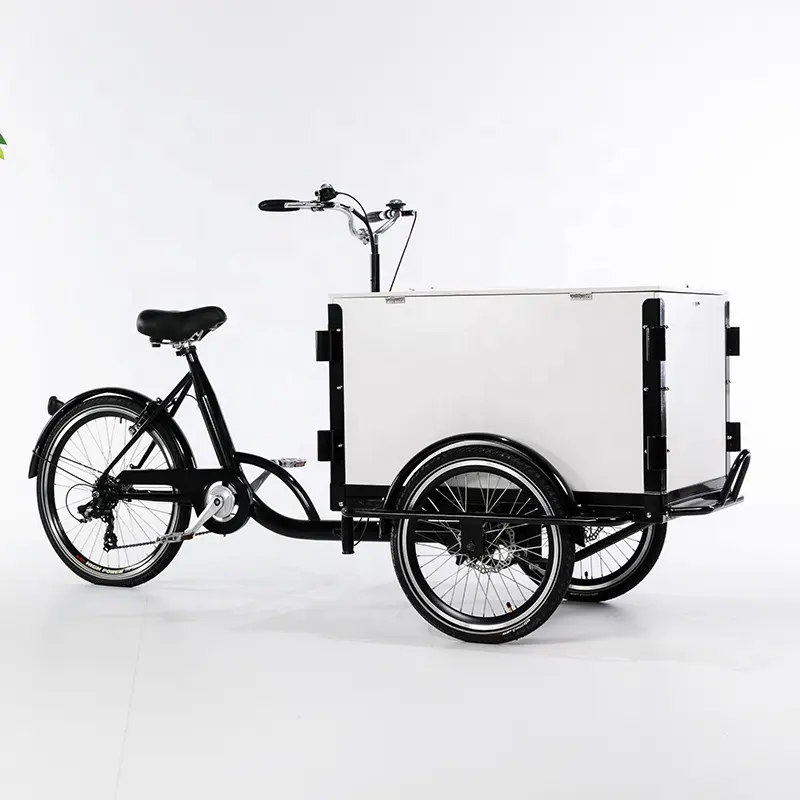 Triciclo eléctrico cerrado de 3 ruedas para adultos